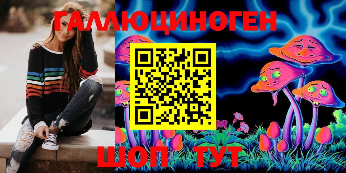 Псилоцибиновые грибы Psilocybine cubensis Волгоград
