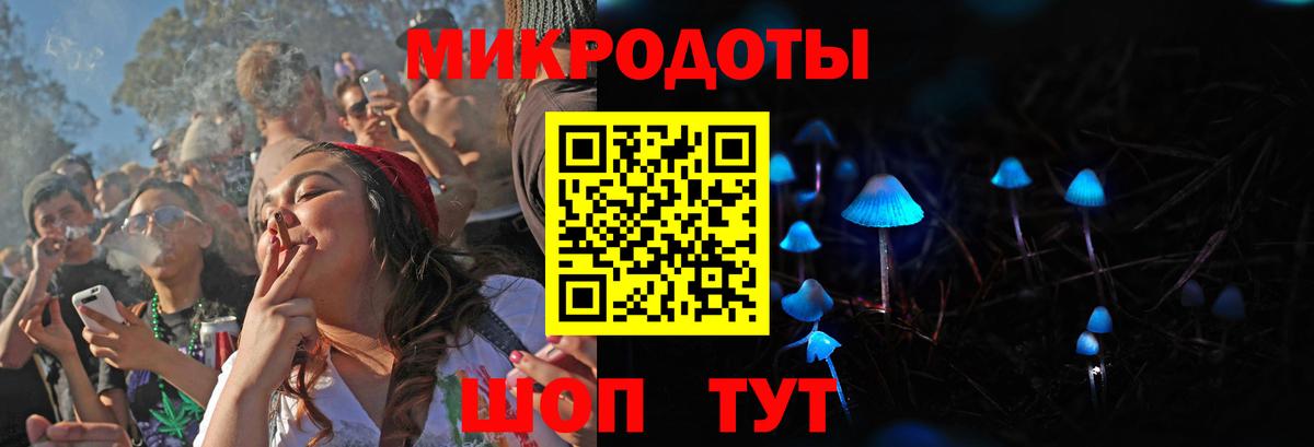 Волгоград  закладки  Вход с VPN  Галлюциногенные грибы Psilocybine cubensis 